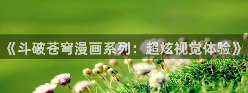 成人禁漫天堂：《斗破苍穹漫画系列：超炫视觉体验》